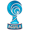 Copa Colombia 2008