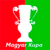 Copa Hungría 2013