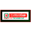 Copa de la Liga Gales 2013