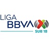 Liga MX Sub 18 - Apertura