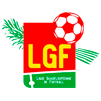 Liga Guadalupe 2012